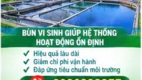 Mua Bùn Vi Sinh Ở Đâu ? Tiến Phát Đơn Vị Uy Tín Top 1 Chuyên Cung Cấp Bùn Vi Sinh