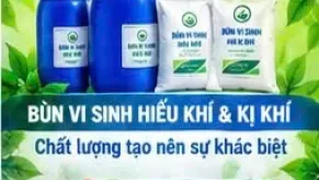 Dịch Vụ Vận Chuyển Bùn Vi Sinh Uy Tín Chuyên Nghiệp