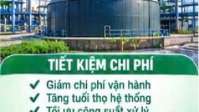 Bùn Vi Sinh Giá Rẻ Nhà Cung Cấp Đáng Tin Cậy