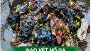 Nạo Vét Hố Ga Bình Dương Tại Các KCN Giá Rẻ