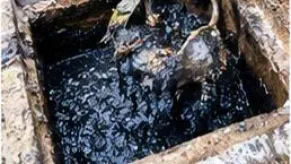 Nạo Vét Hố Ga TPHCM Giá Rẻ Chuyên Nghiệp