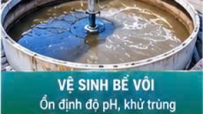 Vệ Sinh Bể Bùn Thải Chuyên Nghiệp 