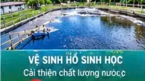 Vệ Sinh Bể Nước Thải Định Kì Giá Rẻ Sạch 100%
