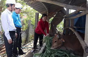 Giải quyết tắc nghẽn khẩn cấp cho hộ gia đình 