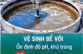 Vệ Sinh Bể Xử Lý Nước Thải Chuyên Nghiệp