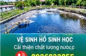 Dịch Vụ Vệ Sinh Bể Nước Thải Chuyên Nghiệp 