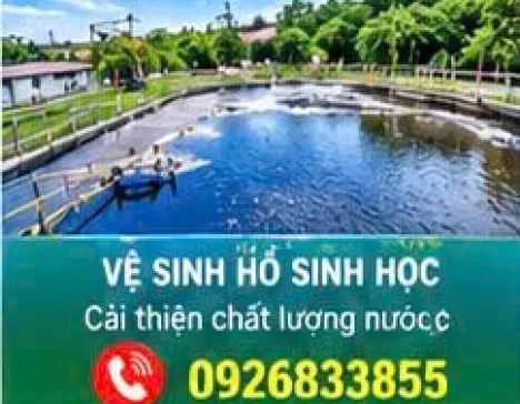 Dịch Vụ Vệ Sinh Bể Nước Thải Chuyên Nghiệp 
