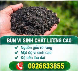 Mua bùn vi sinh 