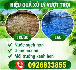Dịch vụ vận chuyển bùn vi sinh 