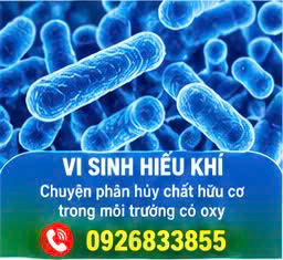 Công ty vận chuyển bùn vi sinh
