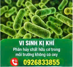 Công ty vận chuyển bùn vi sinh