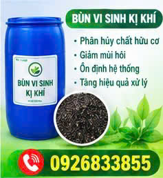 Công ty vận chuyển bùn vi sinh