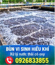 Công ty vận chuyển bùn vi sinh