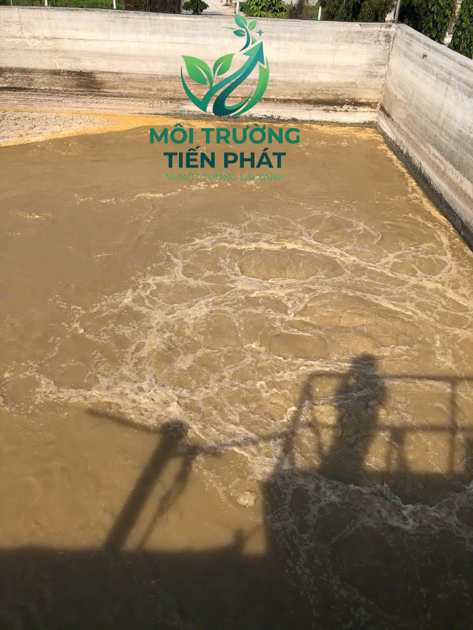 Cung cấp bùn vi sinh 