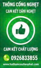 Thông cống nghẹt tại nhà 