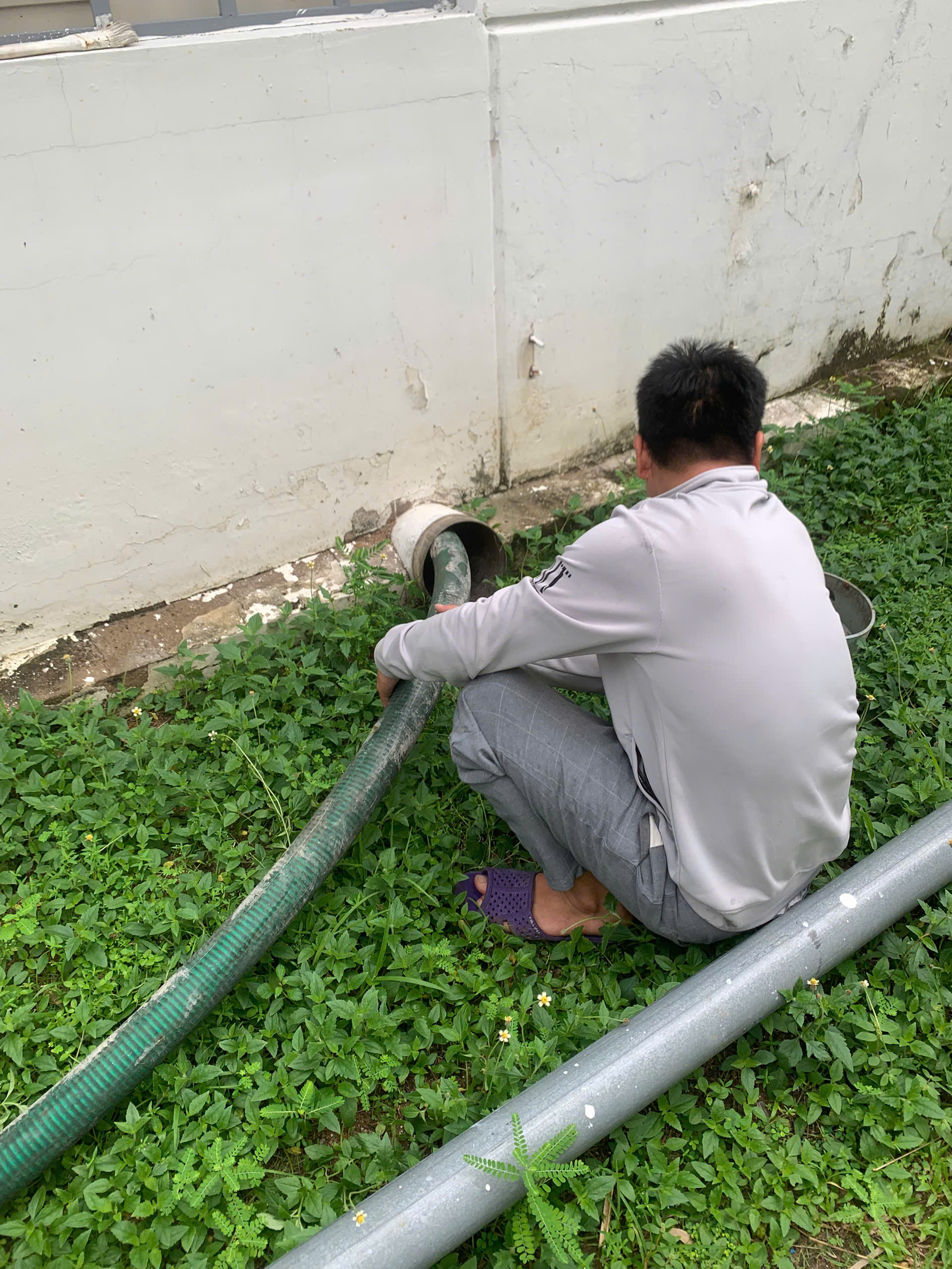 Tác hại khi không xử lý kịp thời