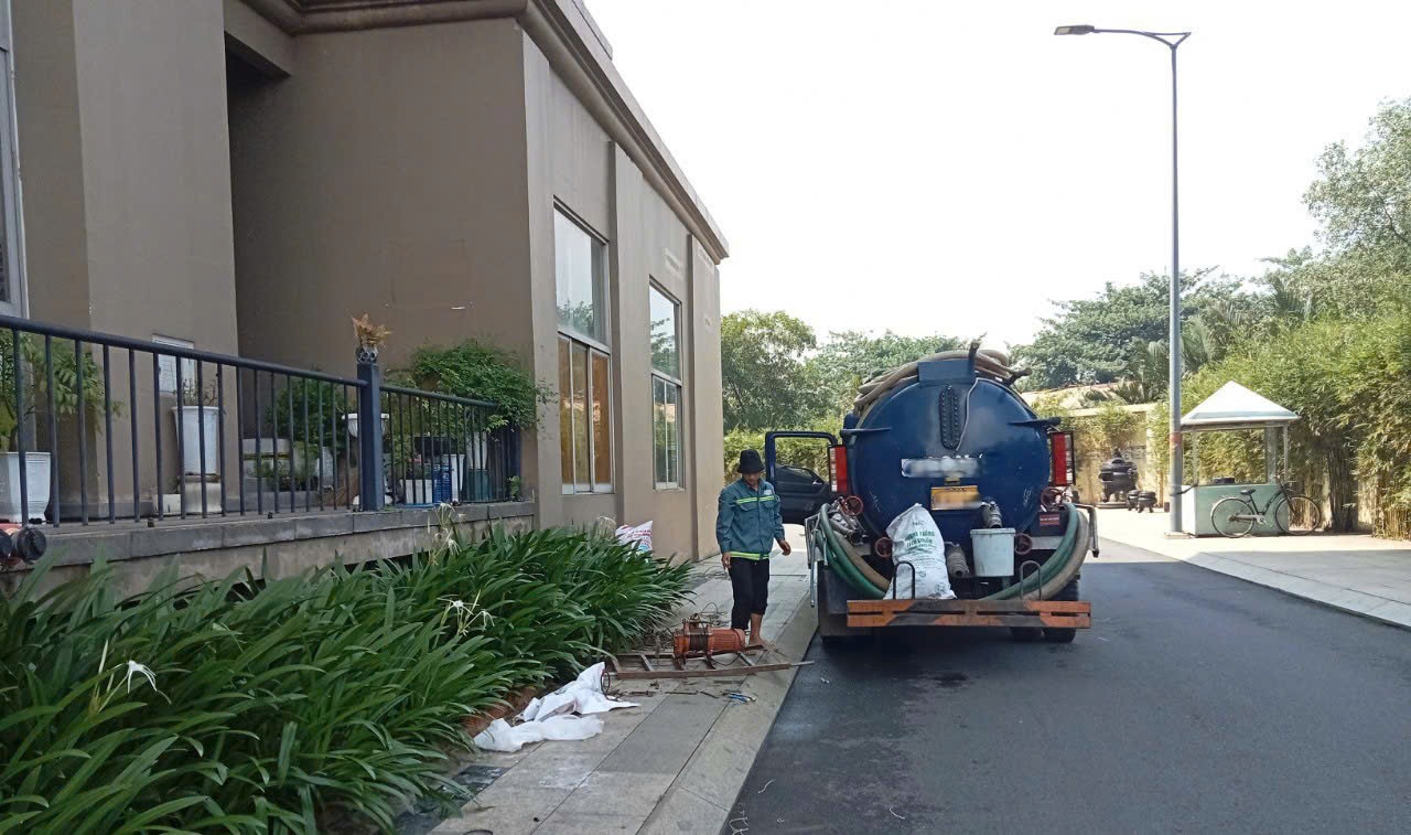 Các dịch vụ đa dạng