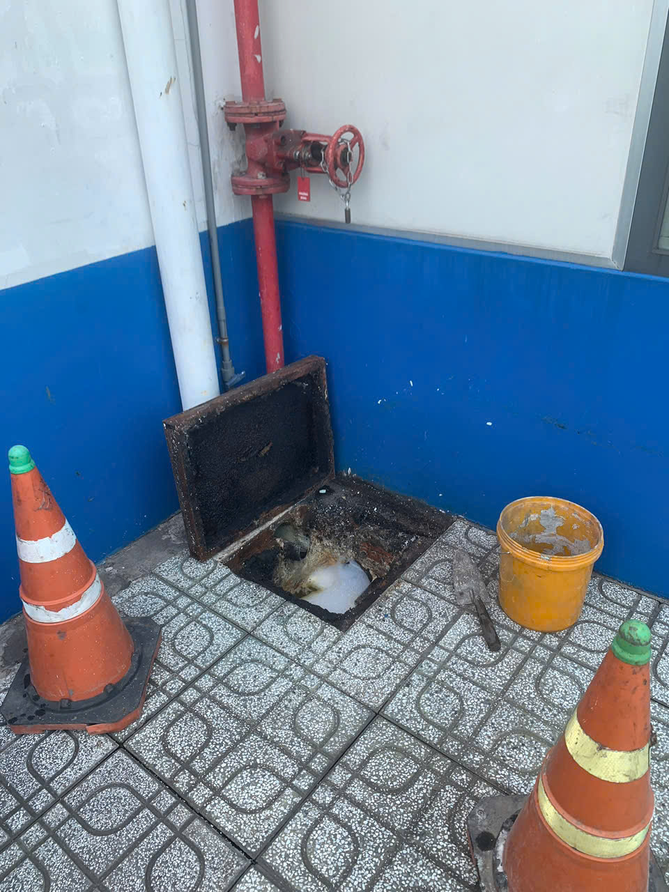 Các Dịch Vụ Hỗ Trợ Toàn Diện Từ Xử Lý Môi Trường Tiến Đạt